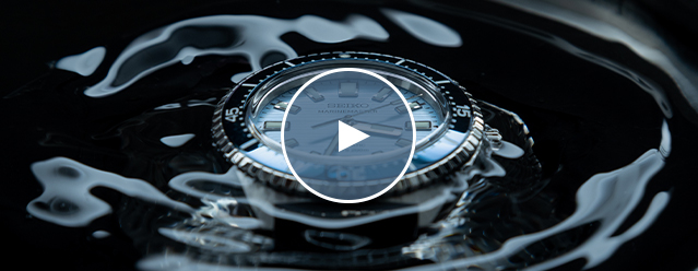 外装研磨(傷修理)